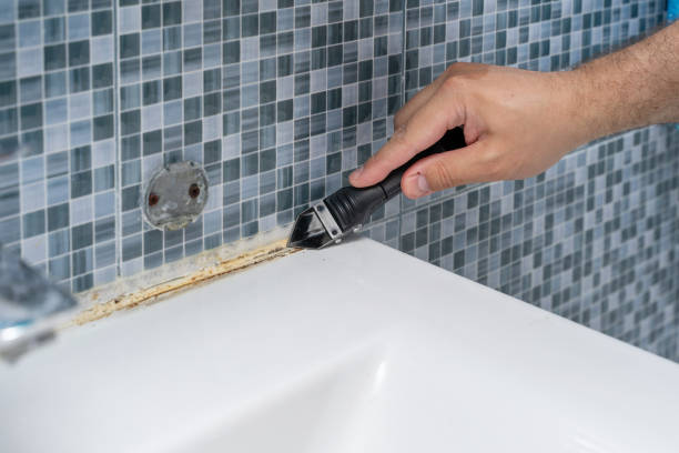 Best Mold Remediation  in Osawatomie, KS