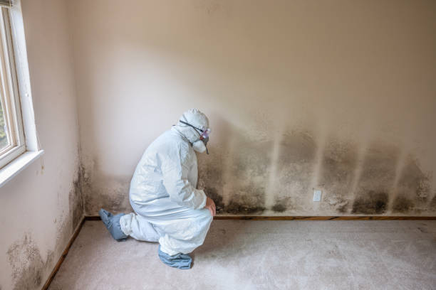 Best Professional Mold Removal  in Osawatomie, KS