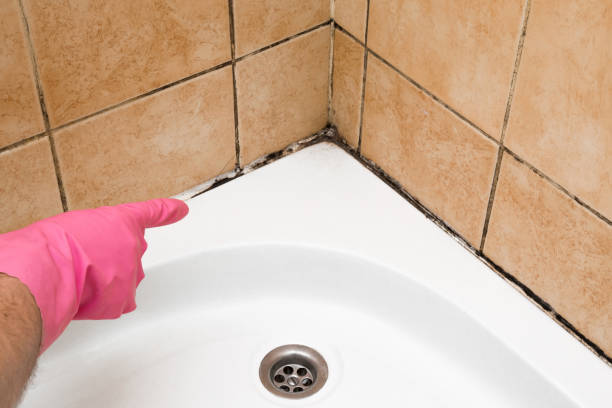 Best Toxic Mold Removal  in Osawatomie, KS